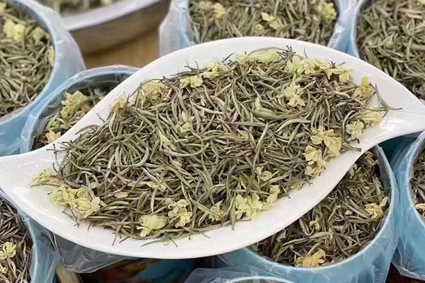 茉莉花茶的功效与作用及禁忌