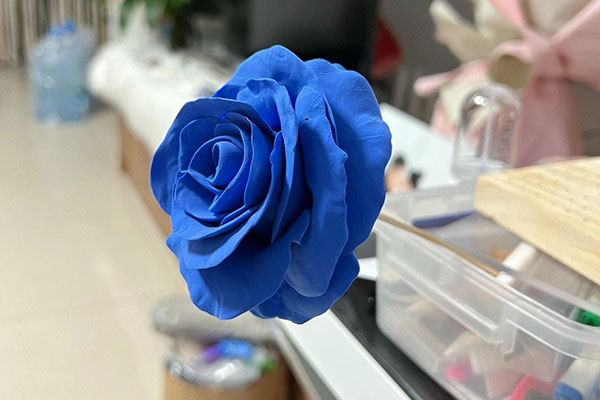 蓝色玫瑰花代表什么意思？