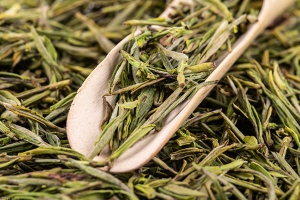 绿茶有哪些品种？
