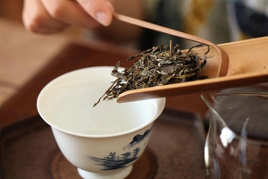 普洱茶生茶好还是熟茶好？