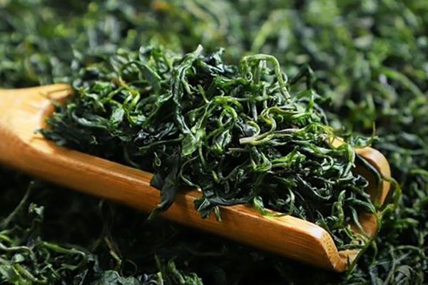 小叶苦丁茶的作用与功效