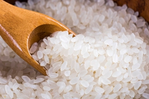 粳米的功效与作用及禁忌