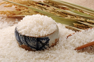 粳米是大米吗？